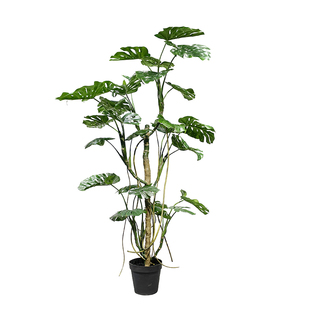 仿真龟背树竹热带绿植物售楼处室内阳台橱窗大型落地盆栽造景装饰
