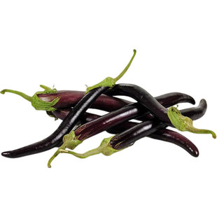 慈黑穆拉省蛇长茄子种子浓郁肉嫩味甜高产传家宝春秋阳台盆栽蔬菜