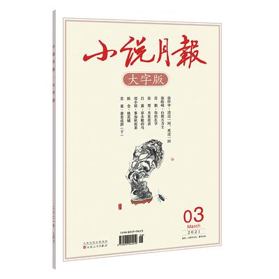 小说月报大字版全年订阅