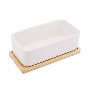 陶瓷花盆种植套装猫草种子吐毛球猫用品零食猫薄荷盆栽空气净化