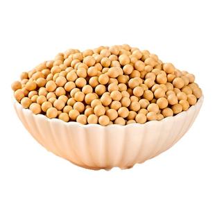 东北黄豆打豆浆生豆芽专用豆子25年农家新货非转基因大豆五谷杂粮