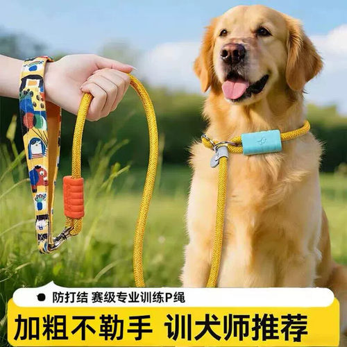 赛级P链P绳狗狗牵引绳项圈式防爆冲大中小型犬训练遛狗绳子栓狗链
