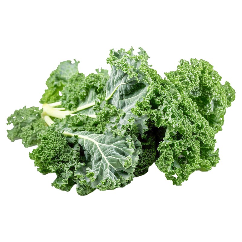 新鲜羽衣甘蓝2斤低热量健身健康榨汁蔬菜沙拉配菜嫩叶芥蓝高营养