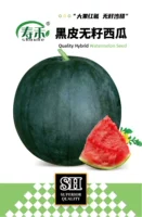 Shouhe Чернокожи