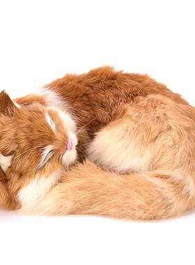 仿真猫咪玩偶动物模型玩具