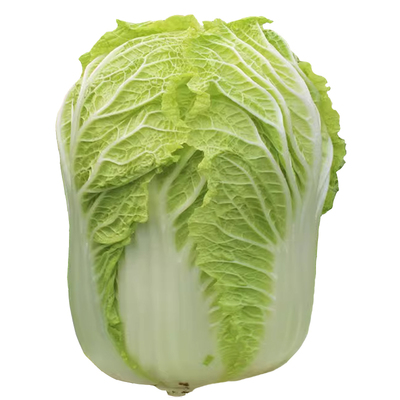 寿禾山东白菜种四季大全抗病高产