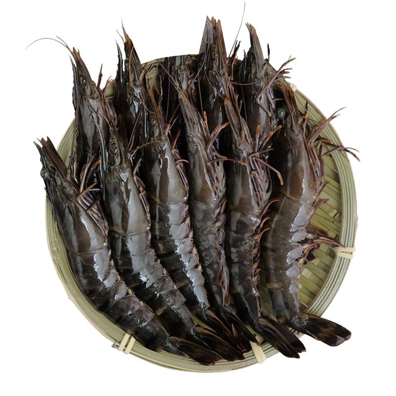 泰国原装进口拓食生冻黑虎虾