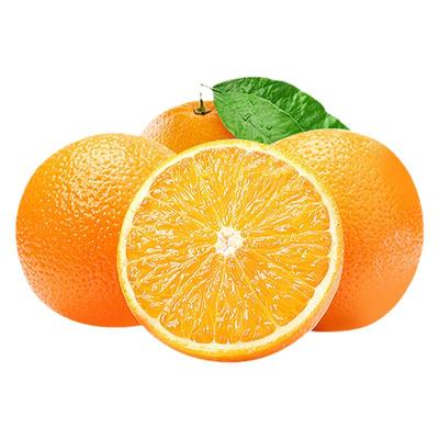 赣南乡野路生赣南脐橙