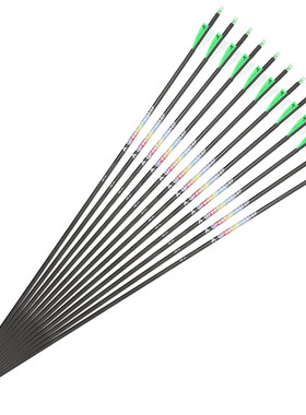 AGS射手3K极光纯碳箭弓箭