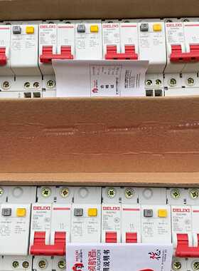 咨询后拍全新德力西2P25安漏电断路器保护器 DZ47sLE系列 C