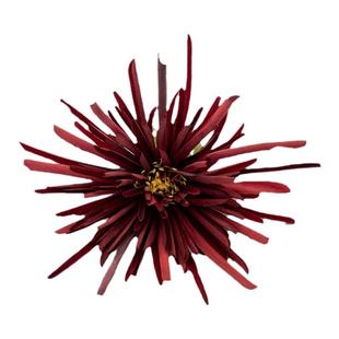 汉服头饰绢花蟹爪菊花古风宋制边夹发饰日常百搭配饰梦华录同款