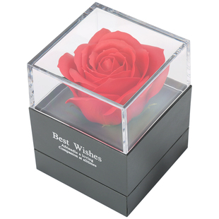 永生花首饰盒戒指礼盒玫瑰花双层抽屉项链网红包装盒结婚礼物盒子