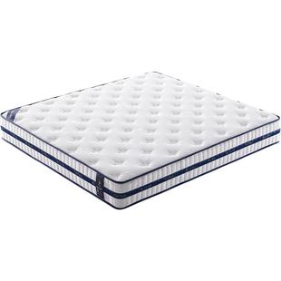 天坛家具官方正品席梦思乳胶床垫护脊抑菌防螨软硬两用悦享舒睡