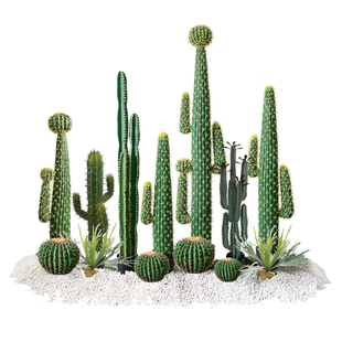 仿真绿植仙人掌室内造景景观组合大型高级感仿生热带植物落地盆栽
