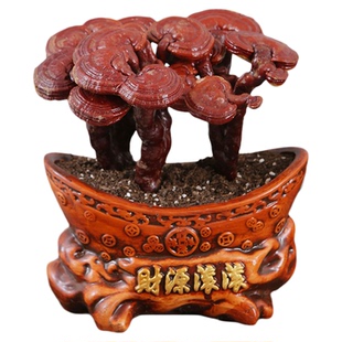 灵芝盆栽植物摆件真灵芝树办公桌面林芝礼品中式招财盆景干花