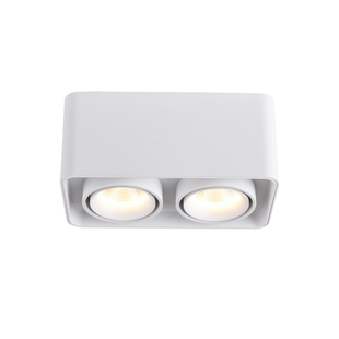 斗胆灯明装已接入米家APP智能涂鸦双头方形无主灯客厅卧室射灯