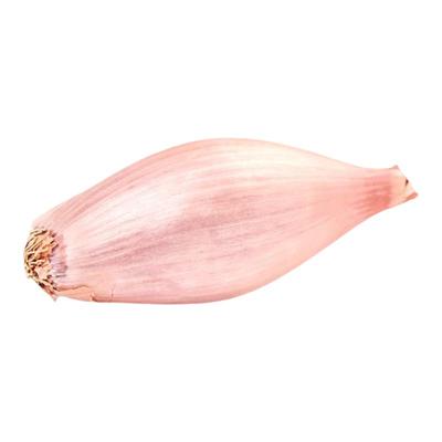 泽布伦青葱种子浓郁温和酥脆高产