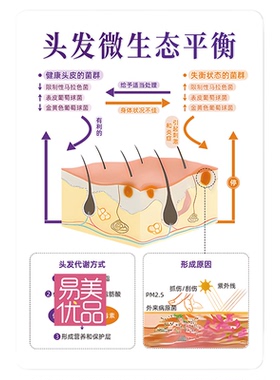 头发微生态平衡摆台亚克力摆件