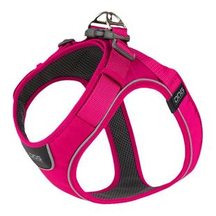 白猪商店 DOGCopenhagen哥本哈根GO狗狗胸背牵引绳外出遛狗小型犬