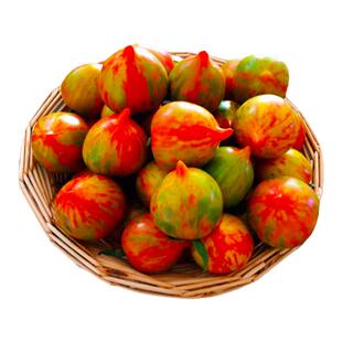 皮球柿子东北新鲜水果红黄虎皮小番茄新开园春桃柿子西红柿花皮球