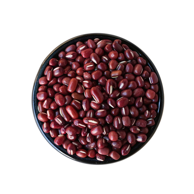 大理山居小红豆云南大山红豆