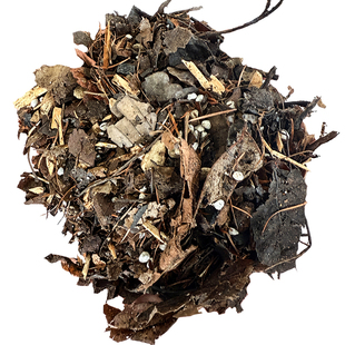 君子兰专用土营养土专用肥橡树叶发酵树皮腐叶松针开花杉木屑通用