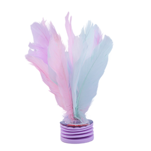 毽子儿童小学生幼儿园踢毽子鸡毛腱踺键子耐踢的羽毛毽球比赛专用