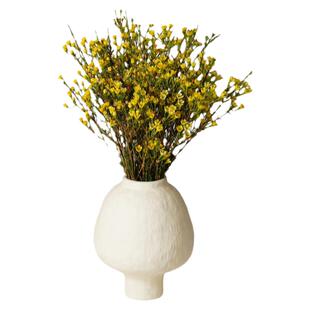 腊梅水培鲜切花云南基地室内花卉直发客厅摆件蜡梅红梅带花苞植物