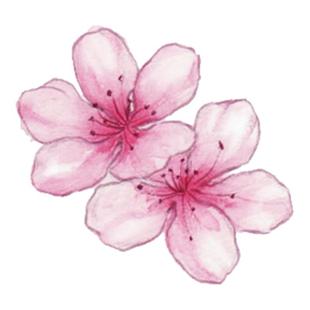 可爱樱花纹身贴手腕遮盖疤痕伤防水女持久高级感手环饰品贴纸手臂