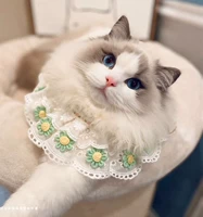 Зеленый цветок