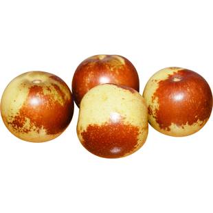 三代沾化冬枣苗大枣树苗嫁接果苗红枣苗活苗南方北方种植盆栽地栽