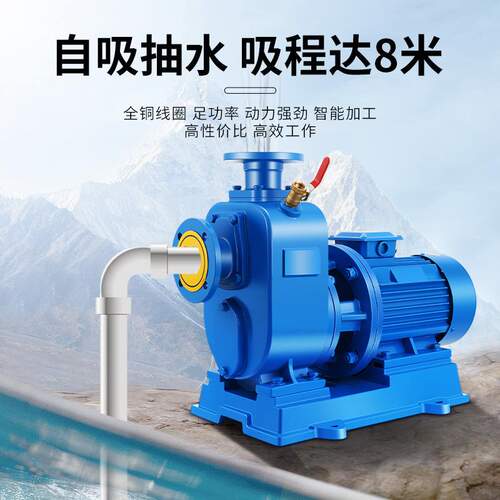 BZ自吸泵加压自吸抽水泵电动大流量自吸泵高扬程自吸水泵