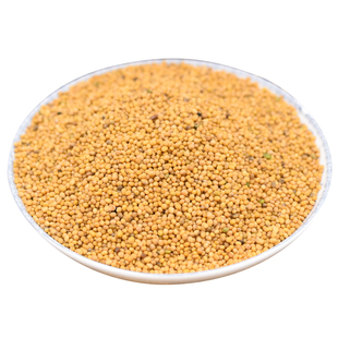 黄芥末籽500克白芥子食用芥茉孑粉自制凉粉介未芥末酱jemo芥菜籽