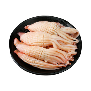 火箭鱿鱼商用新鲜冷冻大鱿鱼须重庆火锅串串烧烤冒菜生鲜食材