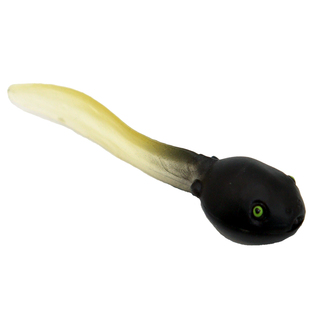 仿真小蝌蚪玩具模型两栖动物青牛蛙角蛙儿童科教教育认知教具礼物