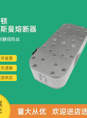 议价全新快速熔断器保险170M7160 170M7161 170M7162 170M7163