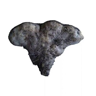 湖北浠水武穴蕲春特产佛手山药