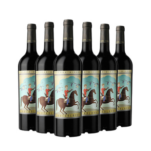 迦南美地古藤兰干红葡萄酒 宁夏红酒整箱6支 马年限定 好喝不贵