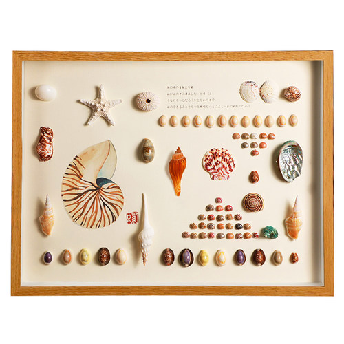 天然贝壳标本海螺相框diy手工装裱制作展示摆台家居装饰立体挂画