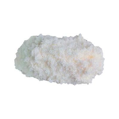 批发包装 D101 非极性大孔吸附树脂中草药及天然产物的提取分离