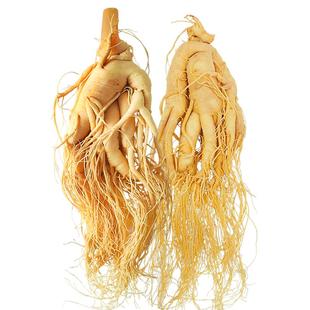 长白山人参泡酒药材东北特产鲜人参煲汤火锅材料滋补养生中药材