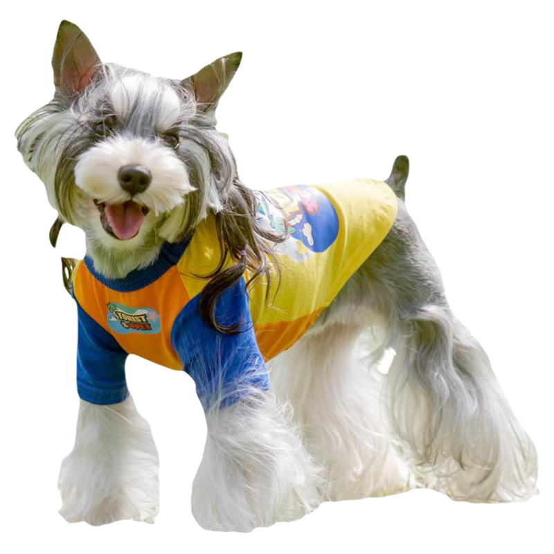 TORIST PET雪纳瑞狗狗衣服春夏宠物打底衫小型犬比熊泰迪薄款夏装