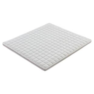 无甲醛床垫天然椰棕榈家用护脊加硬神器硬质薄款榻榻米子纯席梦思