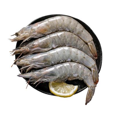 海虾鲜活速冻南美对虾海鲜水产