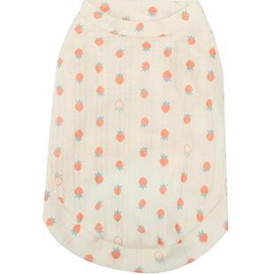 猫咪衣服防掉毛薄款透气秋季宠物幼猫小猫英短布偶猫睡衣猫猫秋天