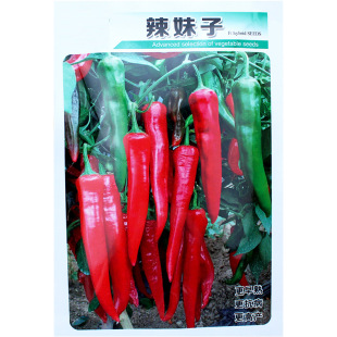 辣妹子杭椒种籽苗秧辣椒种子秧苗四季特辣南方种籽种不辣孑