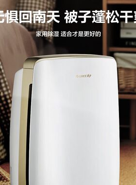 除湿机家用抽湿机 客厅卧室地下室低噪除潮除湿器 DH40EH