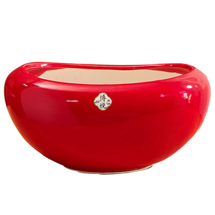 陶瓷花盆现代简约红色喜庆桌面玄关盆栽大口径冬青红果蝴蝶兰花盆