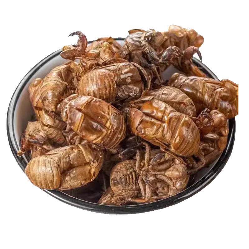 中药材蝉蜕粉蝉蜕爬了猴壳