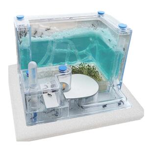 免安装蚂蚁工坊生态城堡宫殿家园别墅宠物蚁后饲养大蚁巢学生观察